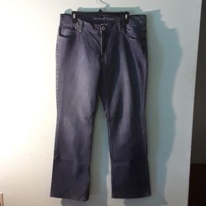 FINAL PRICE! Jordache Premium jeans